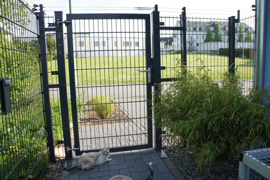 katzensichere Einzäunung des Gartens Cattery Union "Magic Thai Goblin's"